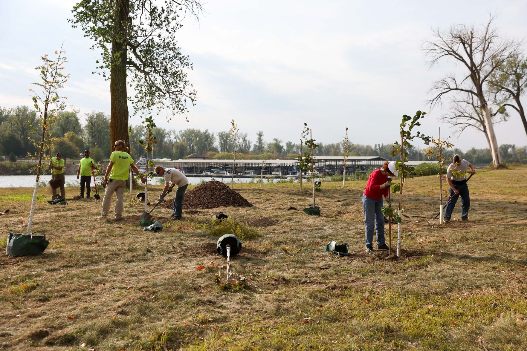 100423-owh-new-forest-09.JPG